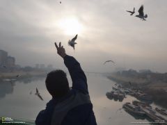 Tapeta National Geographic 257.jpg